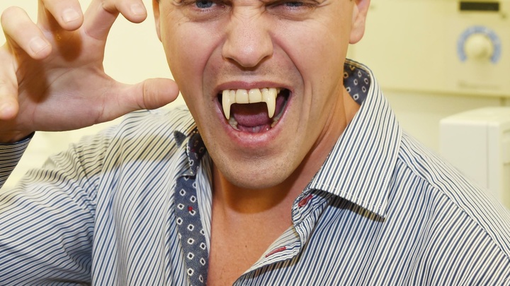 Вампиры не пройдут: Журналистов обработали частицами серебра перед конференцией с Путиным