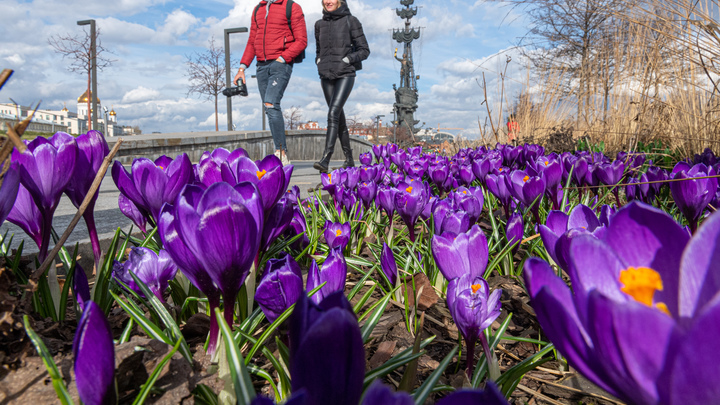 Раннее тепло: В Гидрометцентре рассказали, жители каких регионов России дождутся весну быстрее