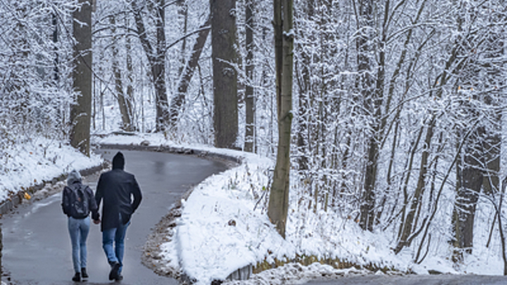 Вильфанд рассказал об участи снега в России на ближайшие дни