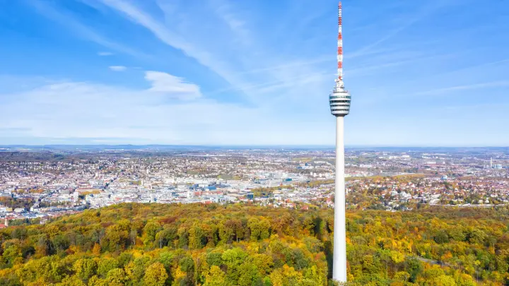 Маск нанёс новый удар по либералам. Досталось главным рупорам Вашингтона