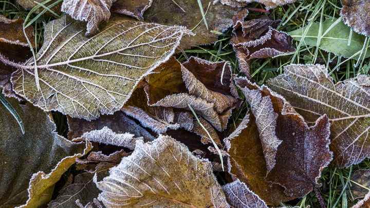 В нескольких районах Кубани выпал снег