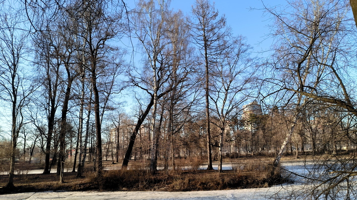 В Пермском крае пошел снег