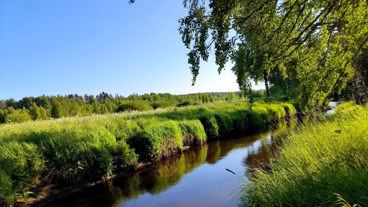 В реке Пермского края утонула легковушка