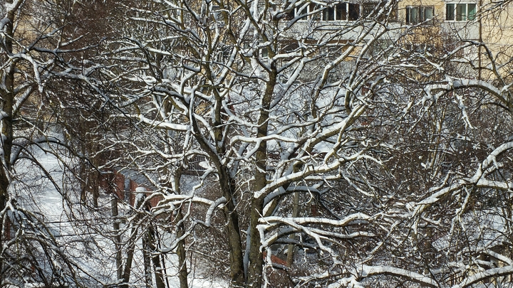 Пермский фотограф попал в топ-2 на международном конкурсе