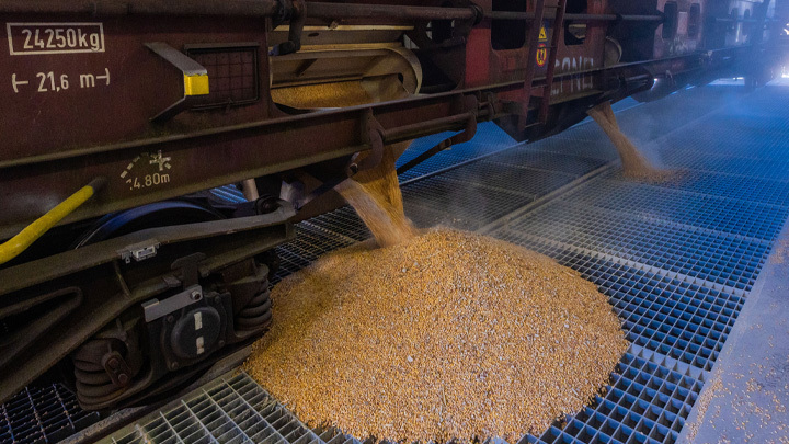 Эрдоган пошёл на шантаж? Россия на распутье перед новой зерновой сделкой