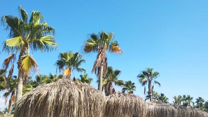 Откровения разъяренного туриста: с ужасом ждем, когда русские хлынут в отели Египта и Турции