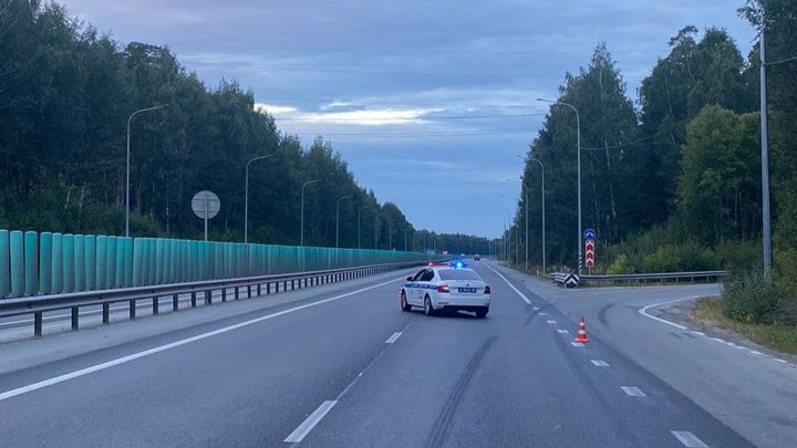 Под Екатеринбургом погиб пешеход, переходивший через дорогу. Водитель скрылся с места ДТП