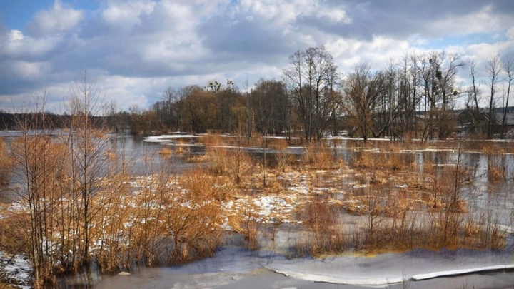 В Белореченском районе следят за подъемом воды в реке Пшиш