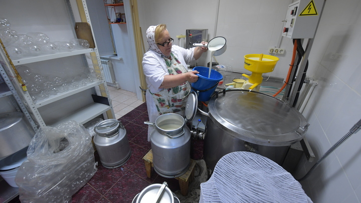 Уральский Россельхознадзор нашел опасную продукцию на одном из молочных комбинатов региона