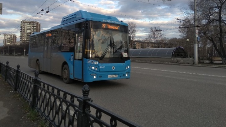 Прокуратура нашла грубые нарушения в работе «Питеравто» в Новокузнецке