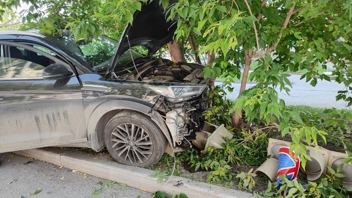 В Екатеринбурге водитель сбил у светофора девушку с собакой