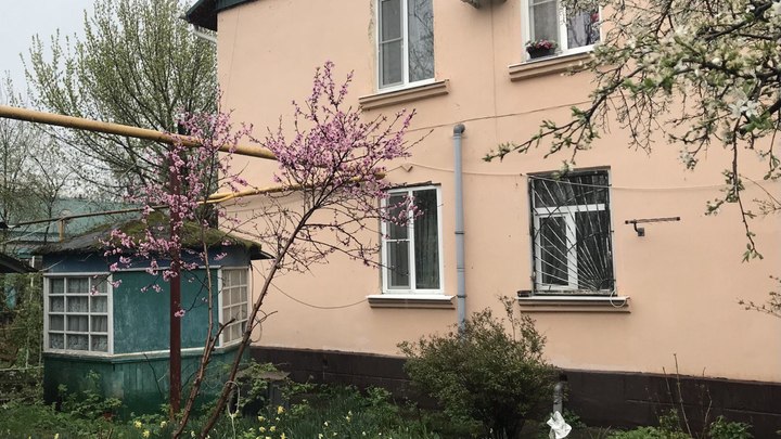 Кубань снова ждёт заморозки: в ближайшие сутки будет минус 1°