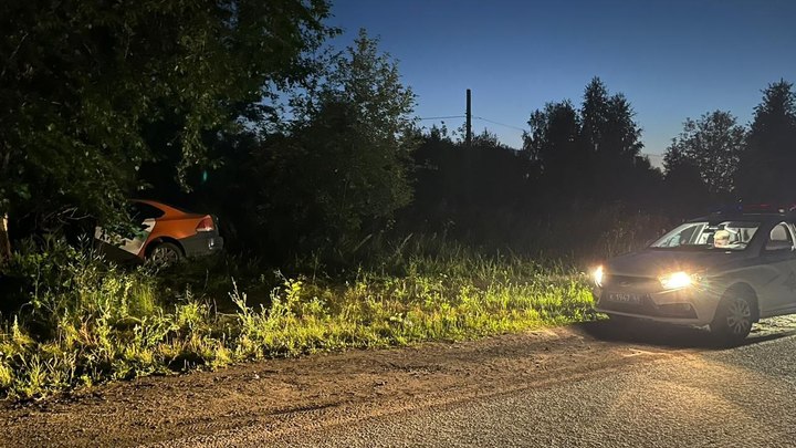 Компания подростков на каршеринговой иномарке врезалась в дерево в Свердловской области