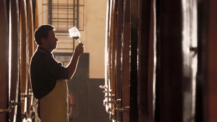 Букет впечатлений без помех: МегаФон расширил сеть 4G в долине виноделов на Кубани