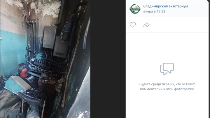 Владимирцев просят помочь с уборкой в экзотариуме после пожара