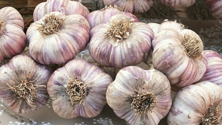 Для кого опасны уникальные свойства чеснока: Советы дала врач-диетолог