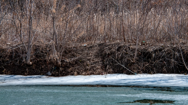 Был сбит зенитчиками под Горьким. Поисковики нашли на дне озера немецкий Мессер