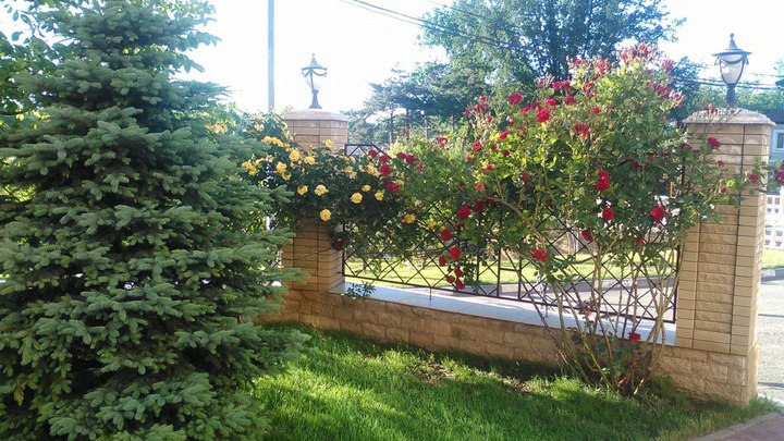 В Ростове прогнозируют дождь и сильный ветер 16 августа