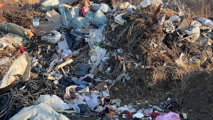 Около новосибирского аэропорта Толмачёво убрали опасную для самолётов незаконную свалку