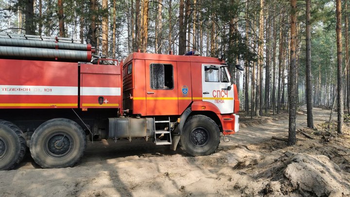 Площадь пожара в Воротынском районе уменьшилась до 18 га