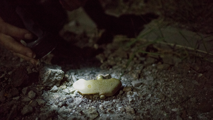 Запад не спешит восполнить эту брешь. Названо оружие, которого не хватает ВСУ