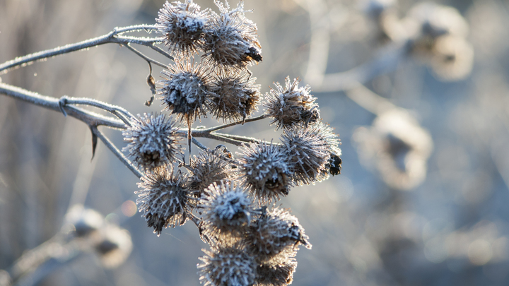 Лаврентьев день 11 февраля: кто делает этот день опасным и кто поможет