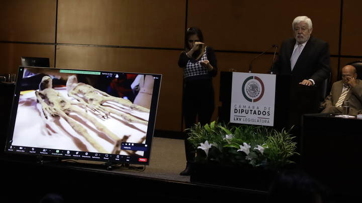 Я его слепила из того, что было: ученые раскрыли состав инопланетян из Перу