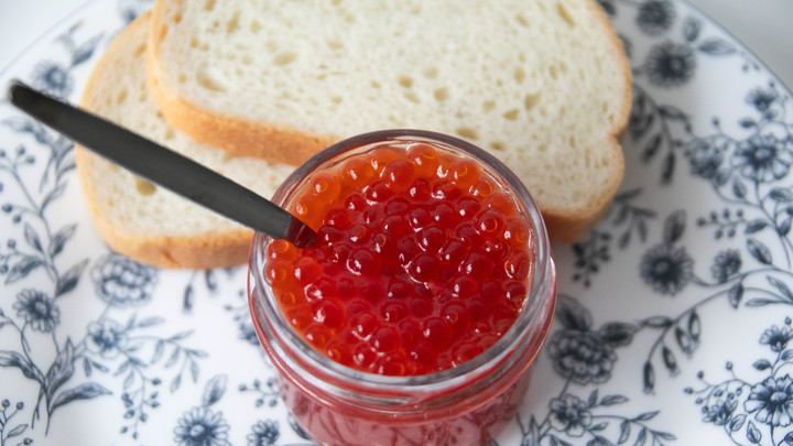 В Госдуме не увидели криминала в фотосессиях с икрой у Кремля