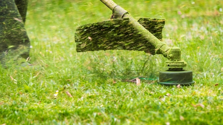 В Краснодаре продолжают очищать парки, улицы и кладбища от зарослей сорняков