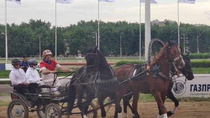 Владимирские тройки победили в соревнованиях на Кубке Росипподромов Владимирские тройки победили в соревнованиях на Кубке Росипподромов