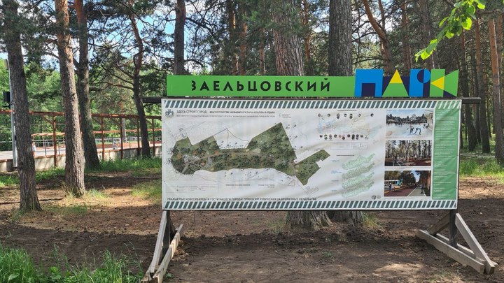 Около 200 млн рублей потратили на реконструкцию Заельцовского парка в Новосибирске