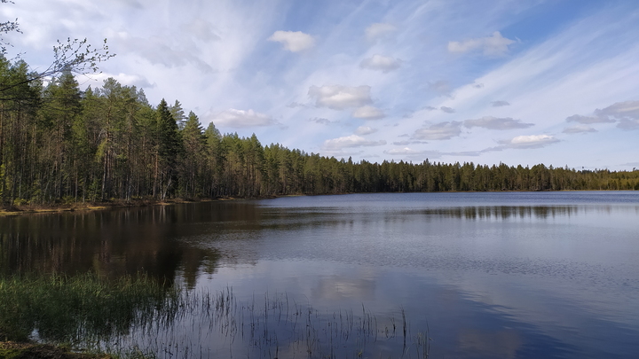В Свердловской области нет водоёмов, безопасных для купания