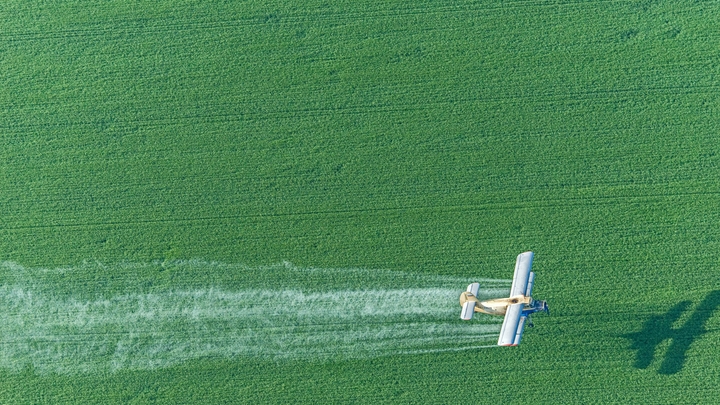 Обсеменят все: Для покупки элитных семян аграриям Кубани выделят 126 млн рублей