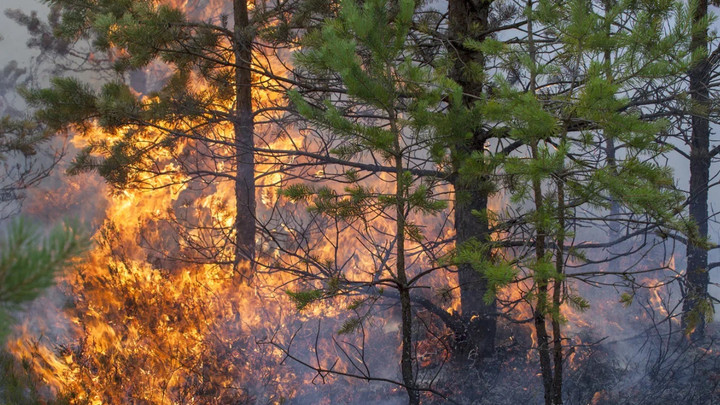 Новая угроза аэропорту Дубровичи и Подмосковью: Огонь бушует несколько дней. Пожарные не могут справиться со стихией