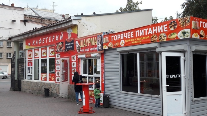 Челябинцы накинулись на задержанного за 200 тысяч директора горсада Пушкина