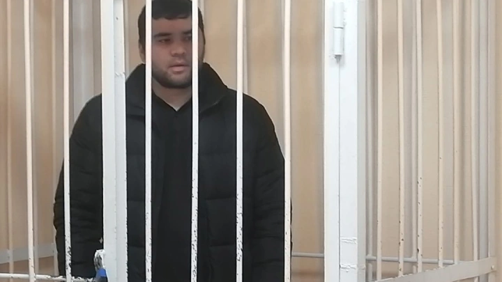 В Новосибирске мигрант получил срок за дискредитацию Вооружённых Сил