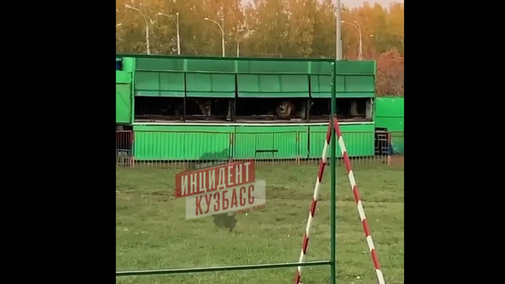 Передвижной зоопарк в Кемерове проверят специалисты Россельхознадзора