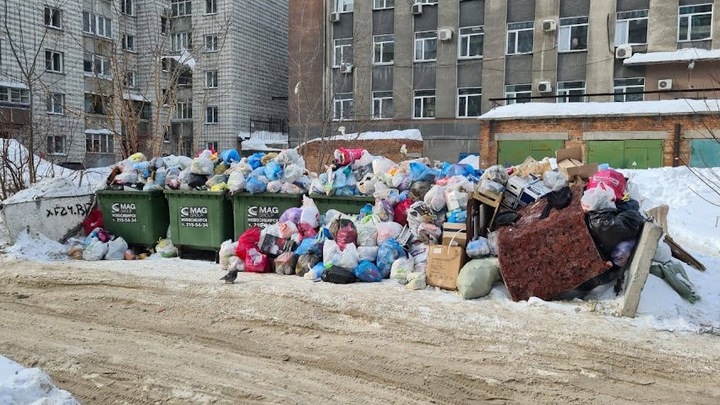 В Новосибирской области в праздники снизилось число жалоб по вывозу мусора