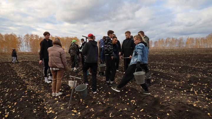 В Курганской области появилась 700-метровая надпись из деревьев в поддержку армии