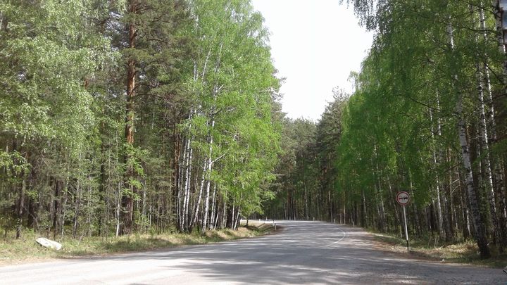 На Свердловскую область надвигаются дожди и грозы
