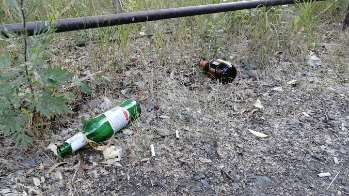 Во время последних звонков в Кургане алкоголь все же будут продавать