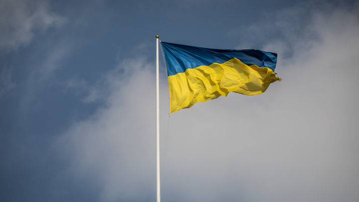 Они практически уничтожили наш ВПК: Арестович рассказал о потерях Украины