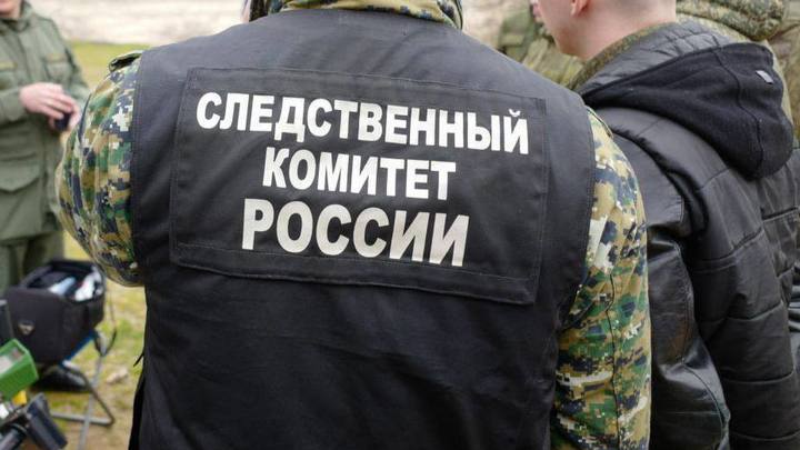 В Краснодаре состоится суд над мужчиной, похитившим четырёхлетнюю дочь у бывшей жены