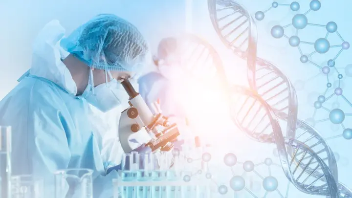 Тайны истории раскрыты: ДНК-анализ связал первую польскую королевскую династию с древними кельтами