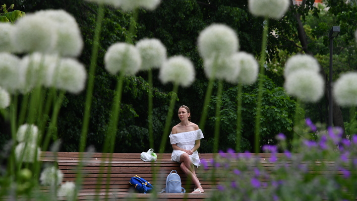 Будут яблони цвести: Парки Москвы приведут в порядок