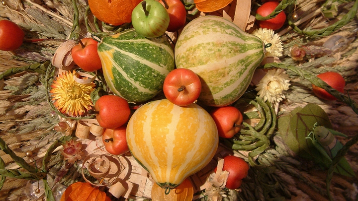 Чёрные перцы, арбузы и фиолетовые томаты: В Новосибирске открылась традиционная осенняя ярмарка