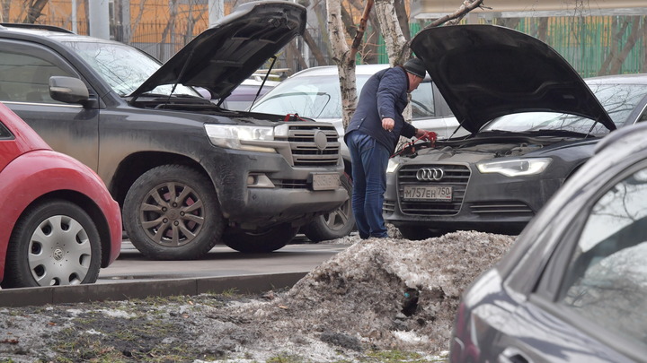 В Новороссийске спасли щенка, застрявшего в моторном отсеке авто