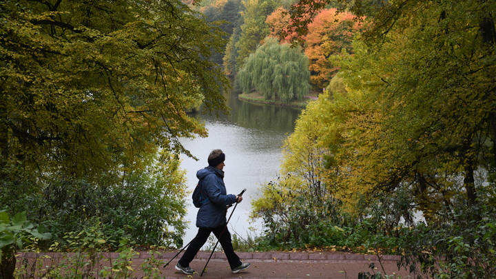 Живописные маршруты для северной ходьбы: Их в Москве теперь 23