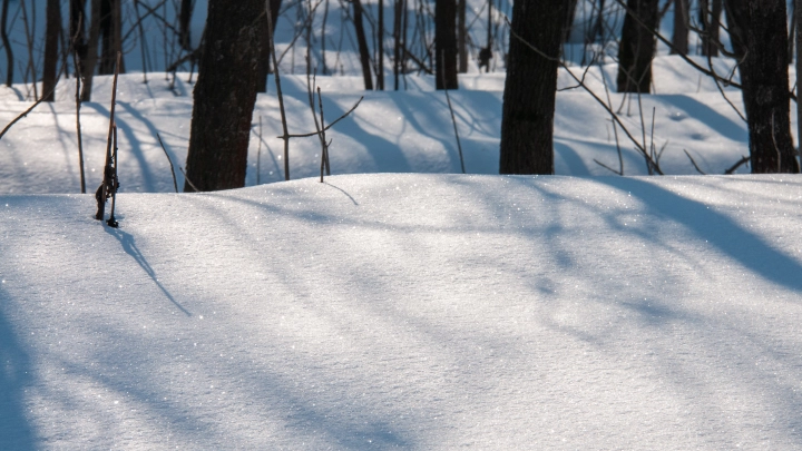 Аномальная. Но суровая или мягкая? Зима-2025 в России будет особенной