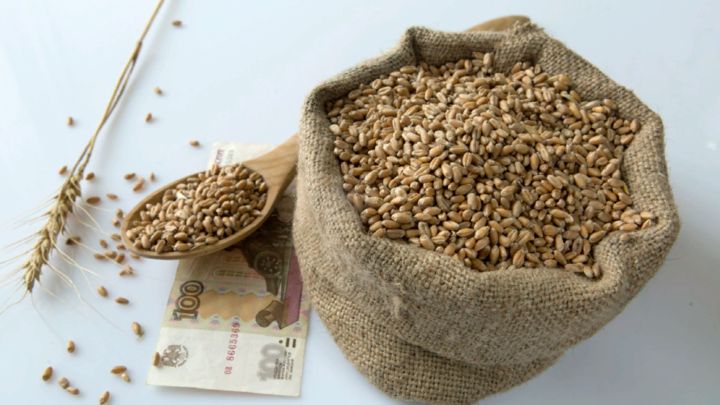 Польша просит ЕС освободить склады от украинского зерна